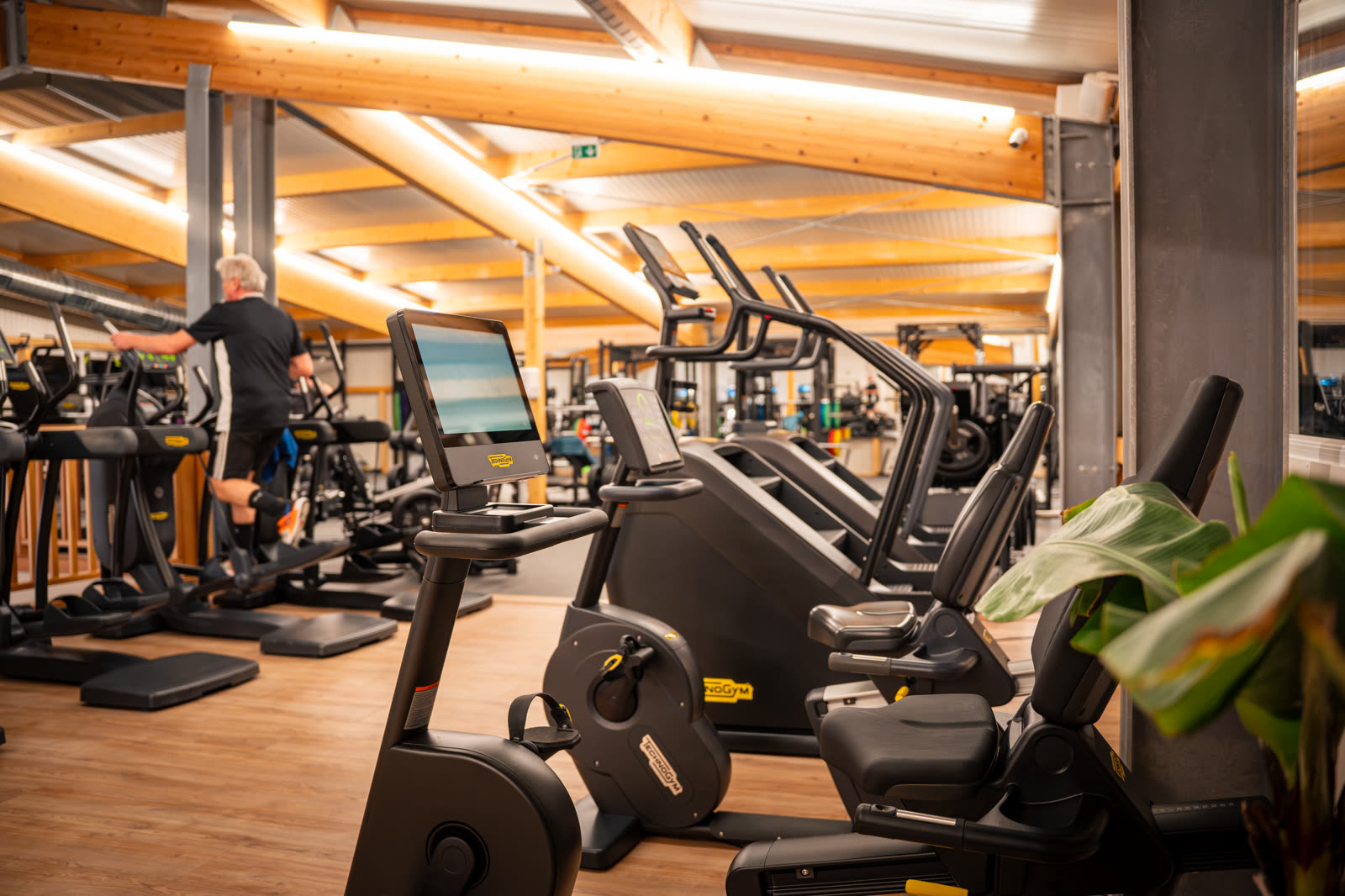 ENERGYM Trainingsbereich